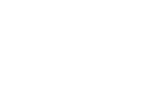 Logo TFS twins for services