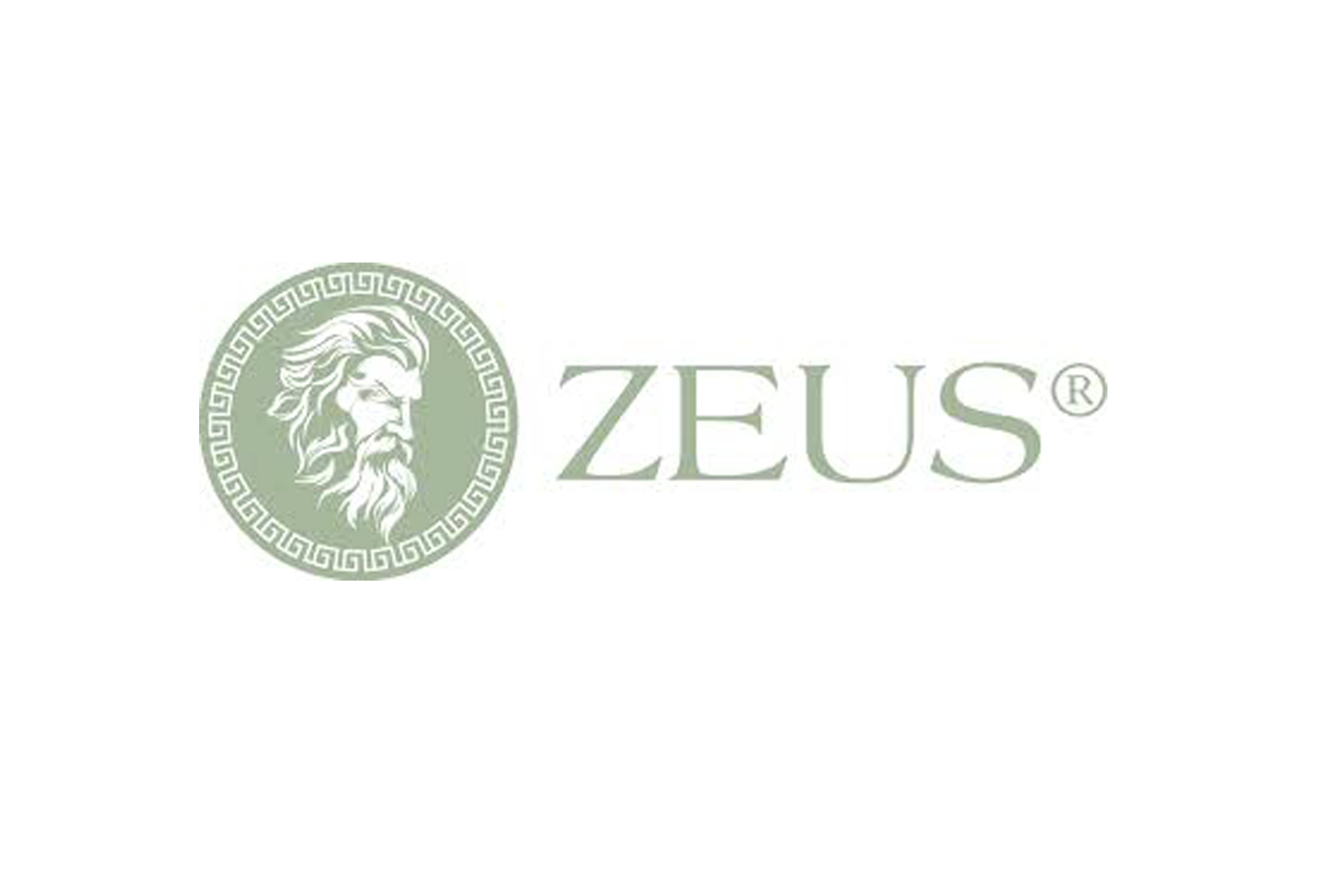 Zeus Anacardi